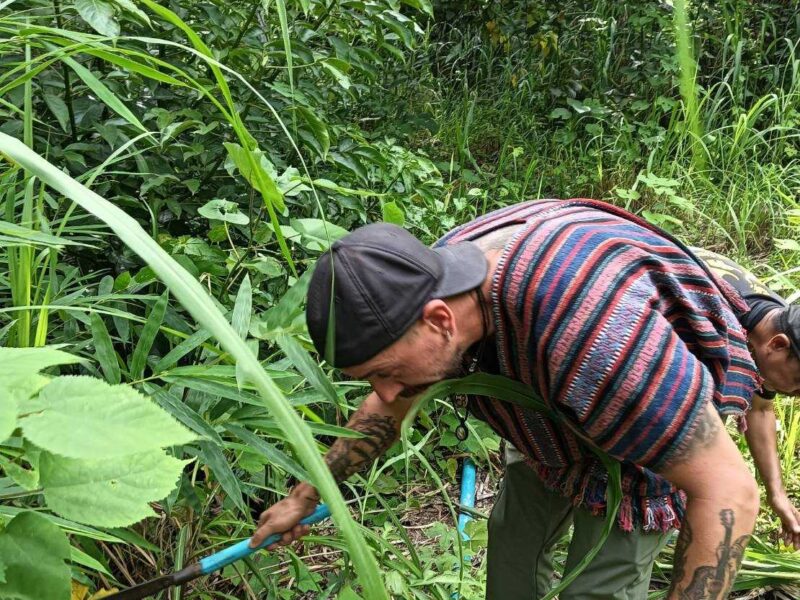 volunteer in thailand elephant sanctuary volunteer in thailand visa volunteer in thailand volunteer work in thailand volunteer opportunities in thailand volunteer teaching in thailand medical volunteer in thailand volunteer teacher in thailand volunteer work in thailand with elephants volunteer organizations in thailand can you volunteer in thailand on a tourist visa can i volunteer in thailand can you volunteer in thailand how to volunteer in thailand how can i volunteer in thailand how to get a volunteer visa in thailand volunteer in thailand elephant sanctuary volunteer in thailand visa can you volunteer in thailand on a tourist visa volunteer work in thailand with elephants volunteer with animals in thailand volunteer to teach english in thailand how to volunteer in thailand how to get a volunteer visa in thailand can you volunteer in thailand on a tourist visa can i volunteer in thailand can you volunteer in thailand where to stay and volunteer in thailand volunteer to teach english in thailand volunteer to help elephants in thailand do i need a visa to volunteer in thailand do you need a visa to volunteer in thailand volunteer for stray dogs in thailand volunteer in thailand with elephants volunteer work with elephants in thailand how to volunteer in thailand where to stay and volunteer in thailand volunteer in thailand with elephants volunteer in thailand with elephants volunteer opportunities in thailand volunteer work in thailand where to stay and volunteer in thailand volunteer teaching english in thailand volunteer programs in thailand volunteer in chiang mai thailand where to stay and volunteer in thailand thailand volunteer with elephants volunteer with animals in thailand volunteer trips to thailand how to get a volunteer visa in thailand volunteer program for thailand how to volunteer in thailand how to get a volunteer visa in thailand can you volunteer in thailand on a tourist visa can i volunteer in thailand can you volunteer in thailand volunteer thailand visa volunteer thailand elephants volunteer thailand elephants volunteer thailand accommodation volunteer thailand volunteer thailand visa thailand volunteer programs thailand volunteer work thailand volunteer teaching english thailand volunteer organizations