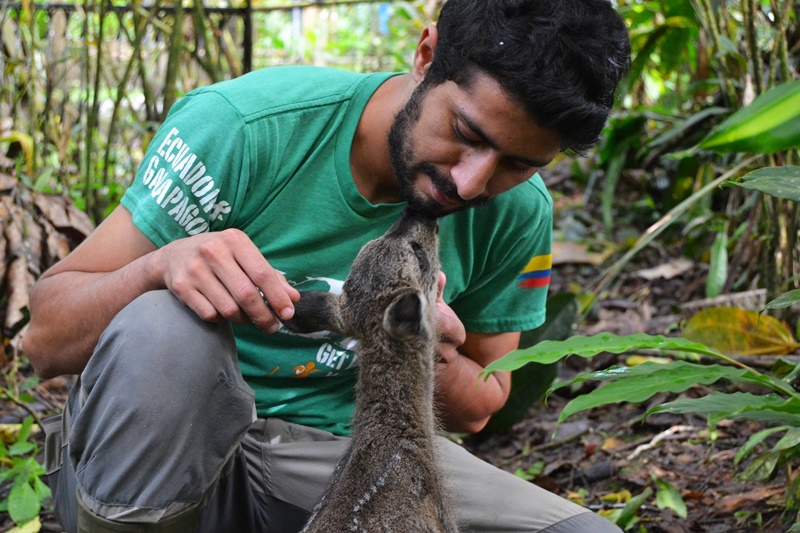 volunteer animals abroad volunteer animals sydney volunteer animals africa volunteer animals costa rica volunteer animals thailand volunteer animals sydney volunteer animals europe volunteer animals costa rica volunteer animals canberra volunteer animals abroad volunteer animals africa volunteer animals australia volunteer animals asia volunteer animals adelaide volunteer animals bali volunteer with animals volunteer with animals abroad volunteer with animals abroad free volunteer with animals sydney volunteer animals for kids volunteer for animals why volunteer with animals where to volunteer animals can you volunteer with animals can i volunteer with animals how to volunteer with animals how to volunteer to help endangered animals volunteer animals near me volunteer animals australia volunteer animals south america volunteer animals abroad volunteer animals work volunteer animals africa volunteer animals sydney volunteer with animals why do i want to volunteer with animals volunteer animals thailand volunteer animals australia volunteer animals abroad volunteer animals africa volunteer animals south america volunteer animals sydney volunteer animals work volunteer with animals volunteer work with animals