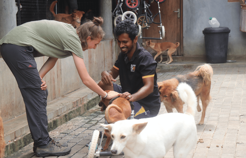 volunteer animals abroad volunteer animals sydney volunteer animals africa volunteer animals costa rica volunteer animals thailand volunteer animals sydney volunteer animals europe volunteer animals costa rica volunteer animals canberra volunteer animals abroad volunteer animals africa volunteer animals australia volunteer animals asia volunteer animals adelaide volunteer animals bali volunteer with animals volunteer with animals abroad volunteer with animals abroad free volunteer with animals sydney volunteer animals for kids volunteer for animals why volunteer with animals where to volunteer animals can you volunteer with animals can i volunteer with animals how to volunteer with animals how to volunteer to help endangered animals volunteer animals near me volunteer animals australia volunteer animals south america volunteer animals abroad volunteer animals work volunteer animals africa volunteer animals sydney volunteer with animals why do i want to volunteer with animals volunteer animals thailand volunteer animals australia volunteer animals abroad volunteer animals africa volunteer animals south america volunteer animals sydney volunteer animals work volunteer with animals volunteer work with animals